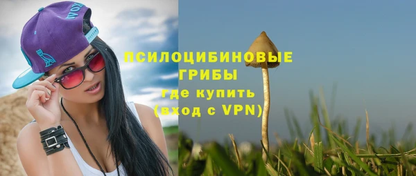 соль ск Бронницы
