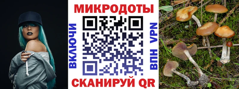 Галлюциногенные грибы Psilocybe  Дятьково 